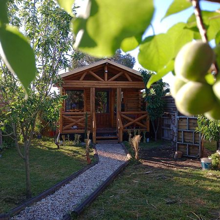 Foresta Acantilados, Casa Container Y Cabana De Troncos มาร์เดลปลาตา ภายนอก รูปภาพ