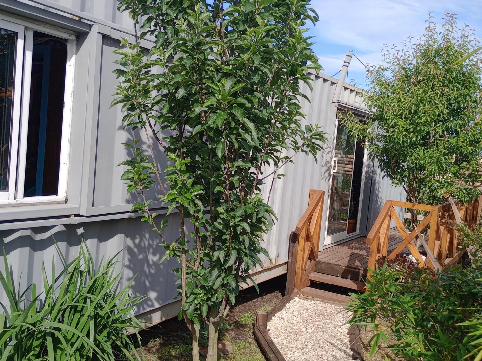 Foresta Acantilados, Casa Container Y Cabana De Troncos มาร์เดลปลาตา ภายนอก รูปภาพ