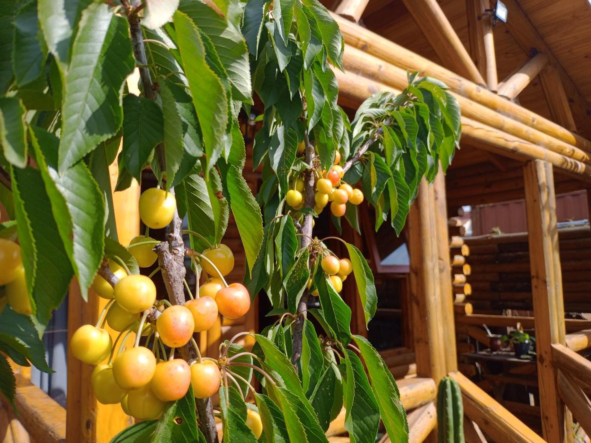 Foresta Acantilados, Casa Container Y Cabana De Troncos มาร์เดลปลาตา ภายนอก รูปภาพ